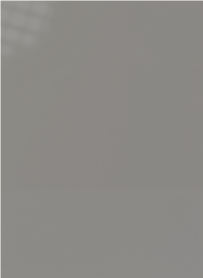 High Gloss Light Grey Door