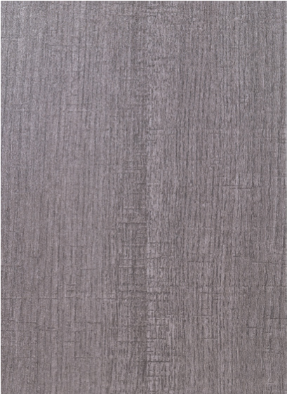 Textured Wood Grey Door