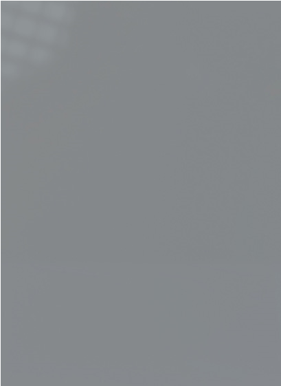 High Gloss Grey Door